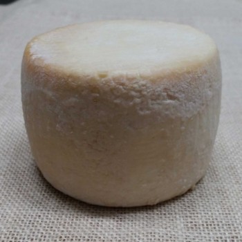 FIORE DI CARCIOFO BIO