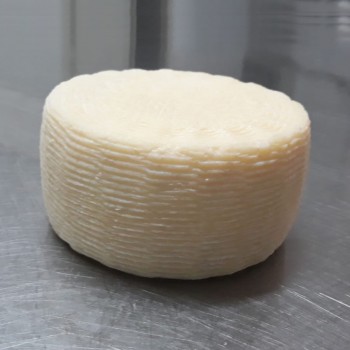 CACIOTTA FIORITA BIO