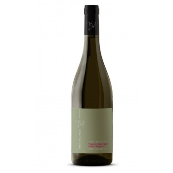 VINO BIANCO IGP TERRE...